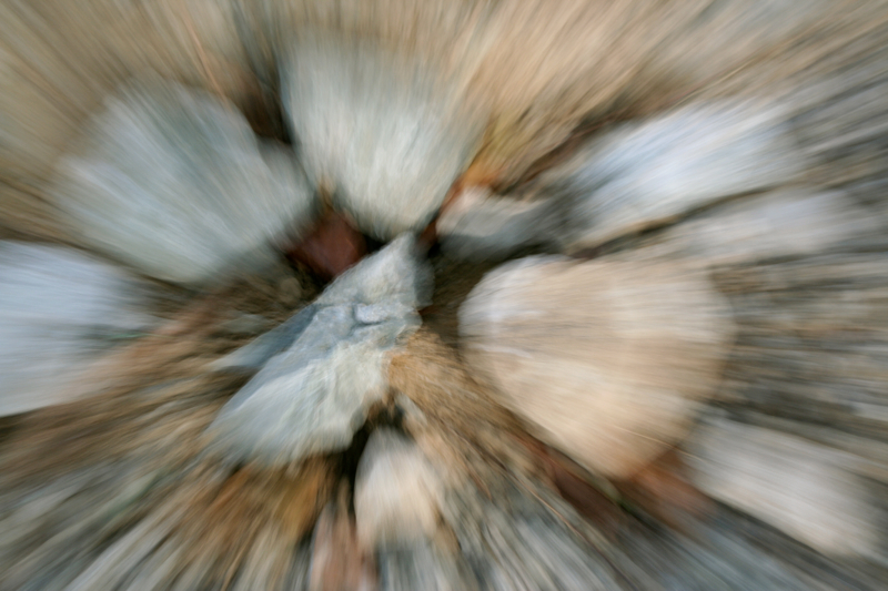 Illustration for article titled Zoom Shooting Challenge Gallery 3
